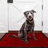 Arran Entrance Mat - Red