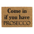 Latex Coir Mat - 40 x 60