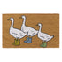 Latex Coir Mat - 40 x 60